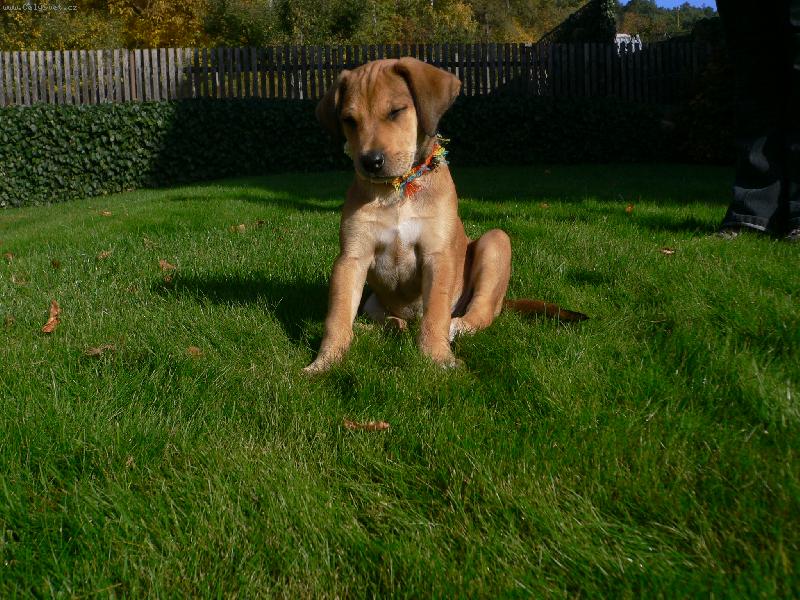 Foto: Sedím dobře?