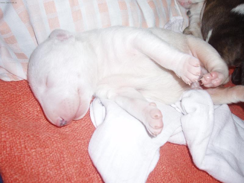 Foto: Tak jsem se před chvilkou narodil