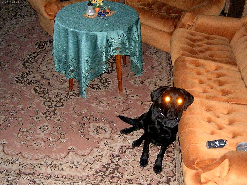 Foto: Lampička-Ideální osvětlení pro domácnost