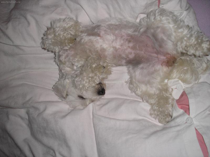 Foto: Tak bych se chtěla také mít-Tvrdě spící Sára