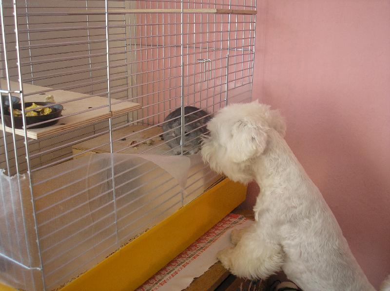 Foto: Chtěla bych tě navštívit.Pustíš mě dál?-Mám tě ráda