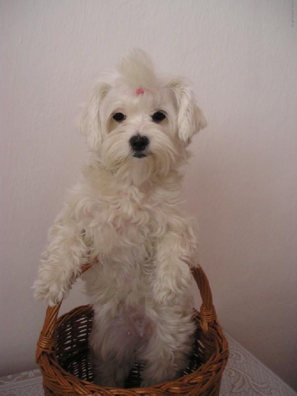 Foto: Peggy-Pojďme na houby