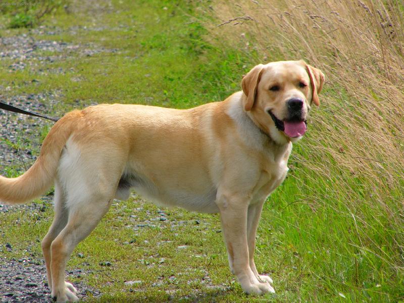 Foto: Tak už pojď, kdo má na tebe furt čekat