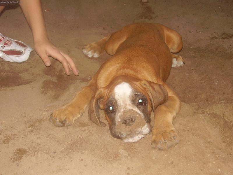 Foto: Hrajeme si na krtečka...