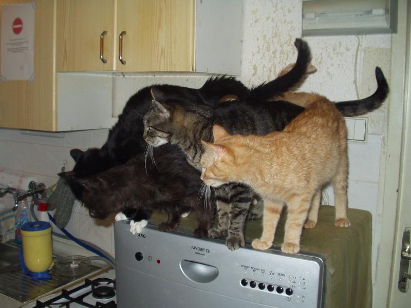 Foto: Máme hlad!!!!