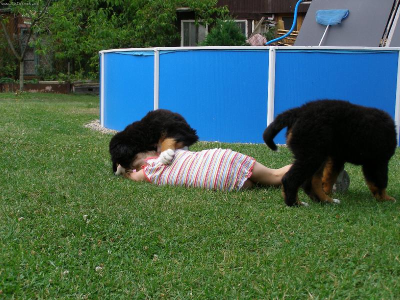 Foto: Uličníci-Ty jí kousej do hlavy a já budu do nohou