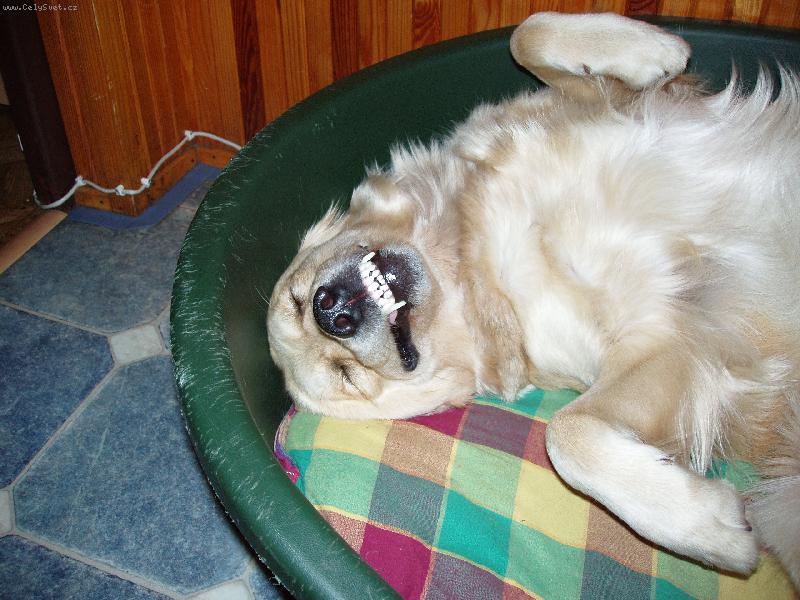 Foto: Baruška-odpočinek