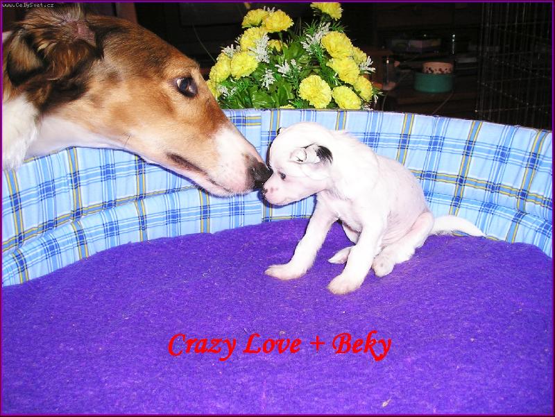 Foto: Kamarádi-Já se chci taky kamarádit!