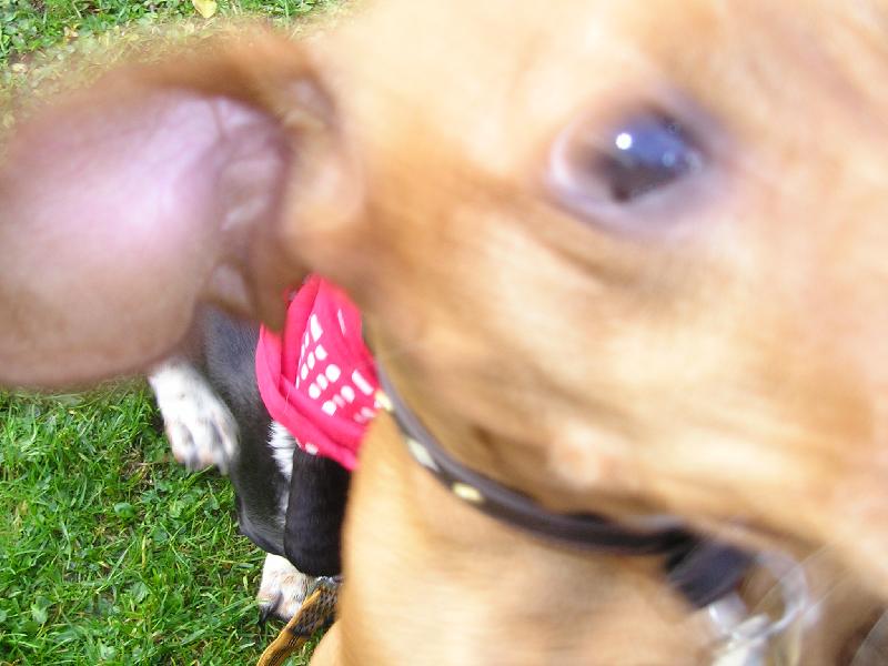 Foto: ...co to má ta panička v ruce?