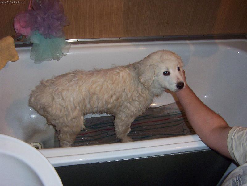 Foto: už je vám líp?