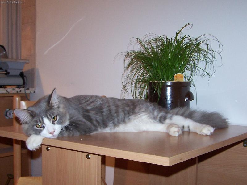 Foto: Casper pohodář