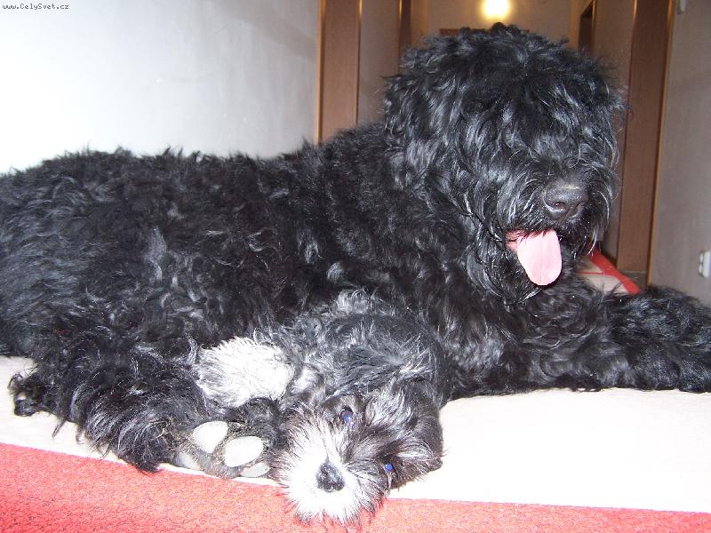 Foto: Ani velikost nás nerozdělí