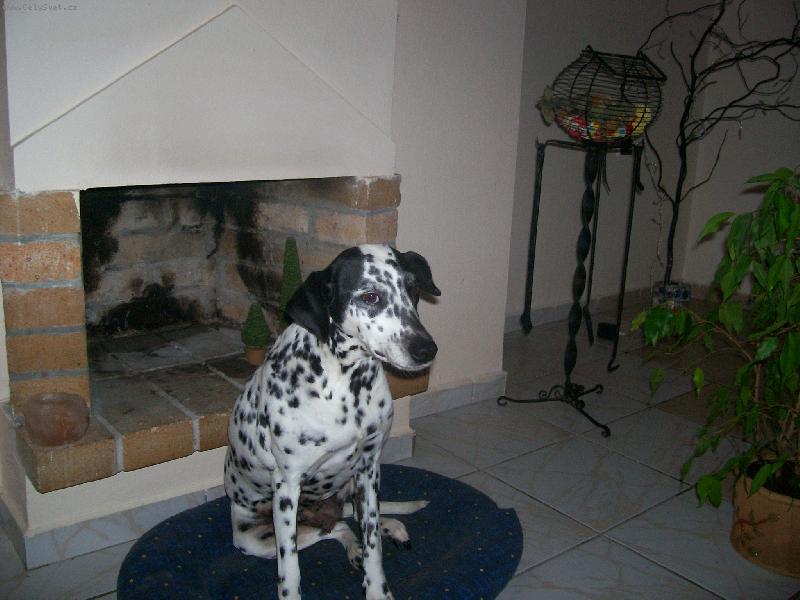 Foto: Muůj milášeek-naše modelka...:)Adélka je supeeer