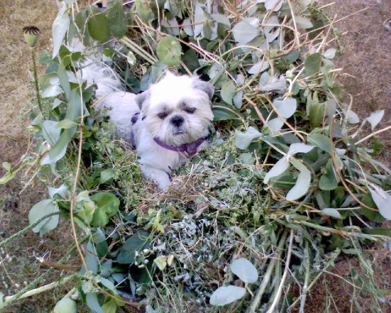 Foto: Edoušek-rád se vozí