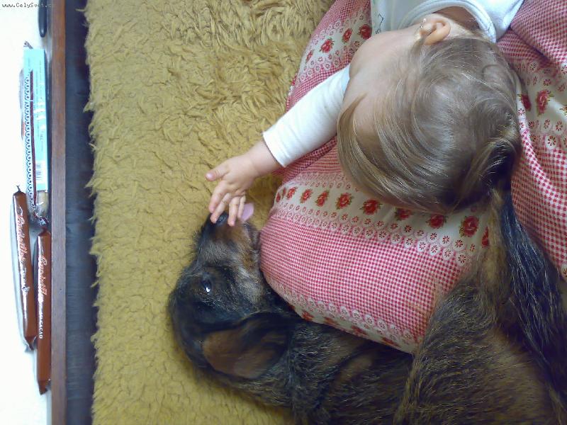 Foto: Aki-sním ti ruku