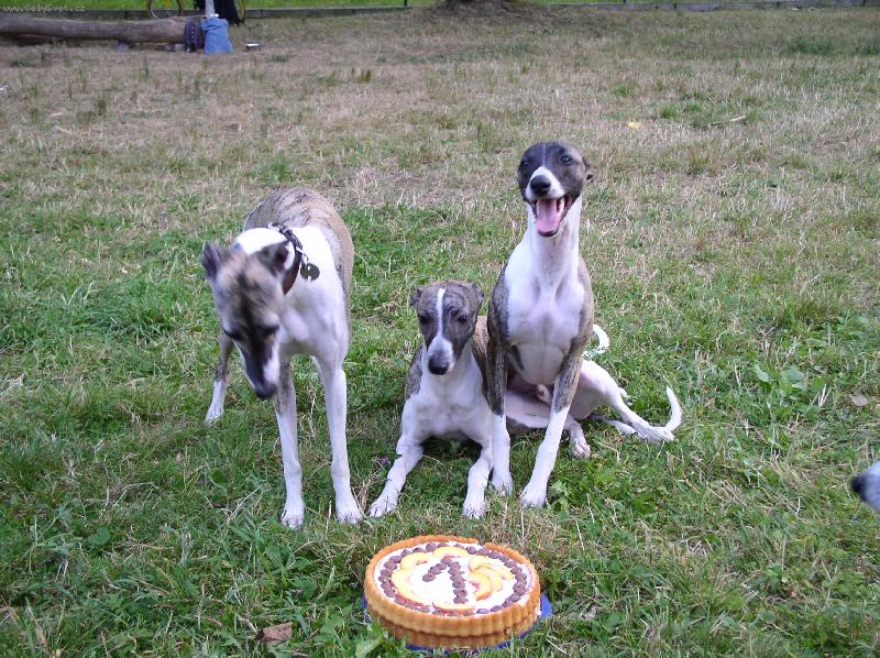 Foto: Už můžem?-Už můžem?