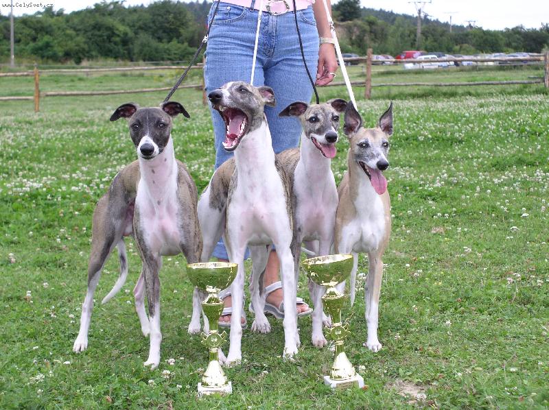 Foto: Keny Bady a Lency z chov. stanice Petula-Vera-A mám to v kapse!