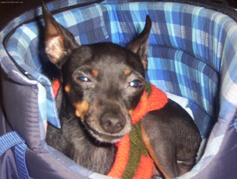 Foto: Goliášek-rozespalý Noneček