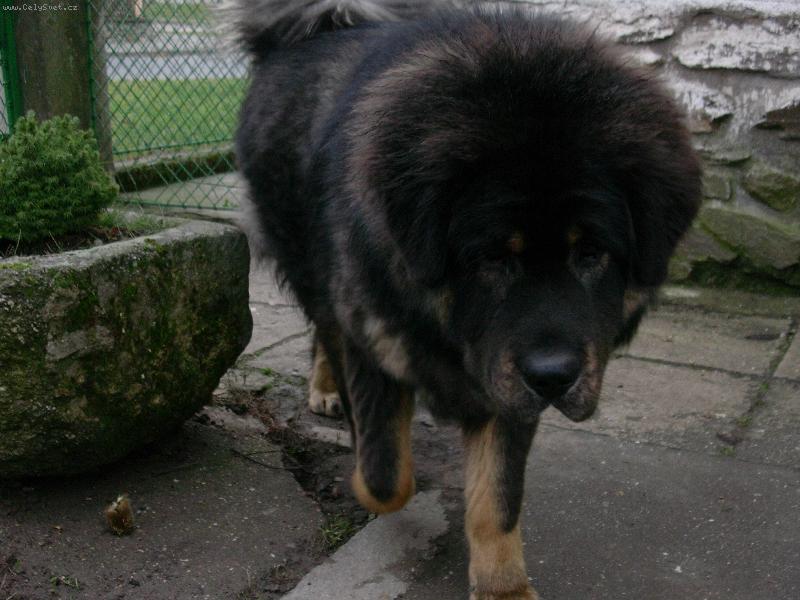 Foto: Já ti ten foák snim!