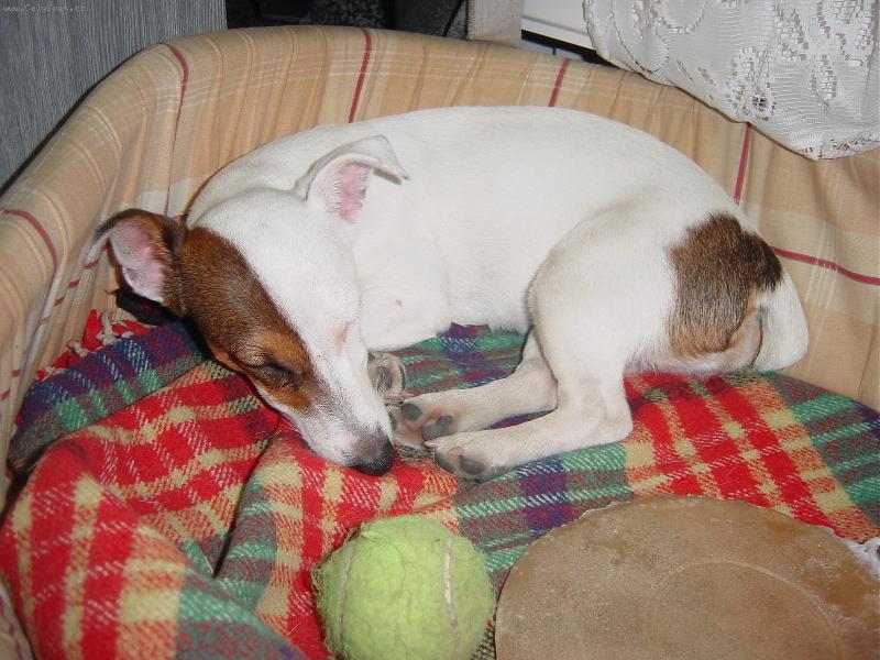 Foto: Ebička-Po správném řádění - správný odpočinek!