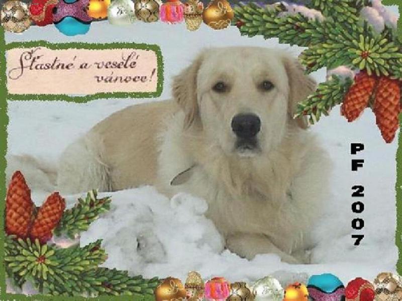 Foto: Veselé Vánoce-nejkrásnější zimní čas , plný sněhu, radosti, klidu a míru