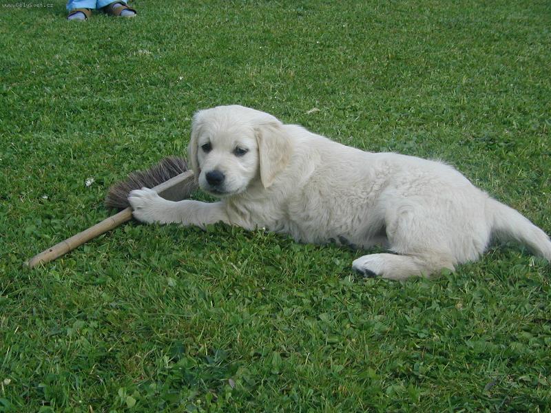 Foto: Jess  s koátkem-oblíbená letní hračka (3 měsíce)