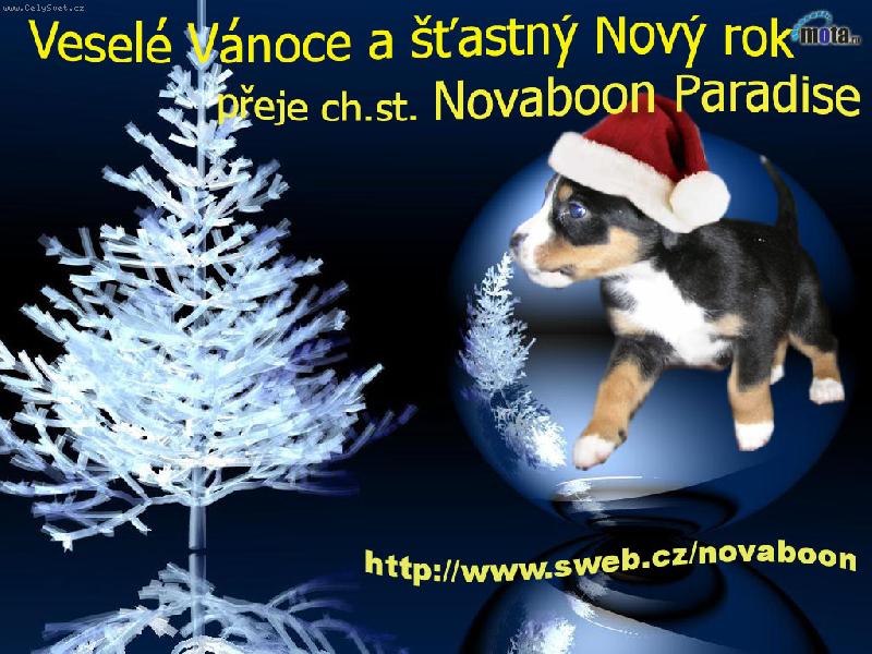 Foto: vánoční přání-s chutí do Nového roku