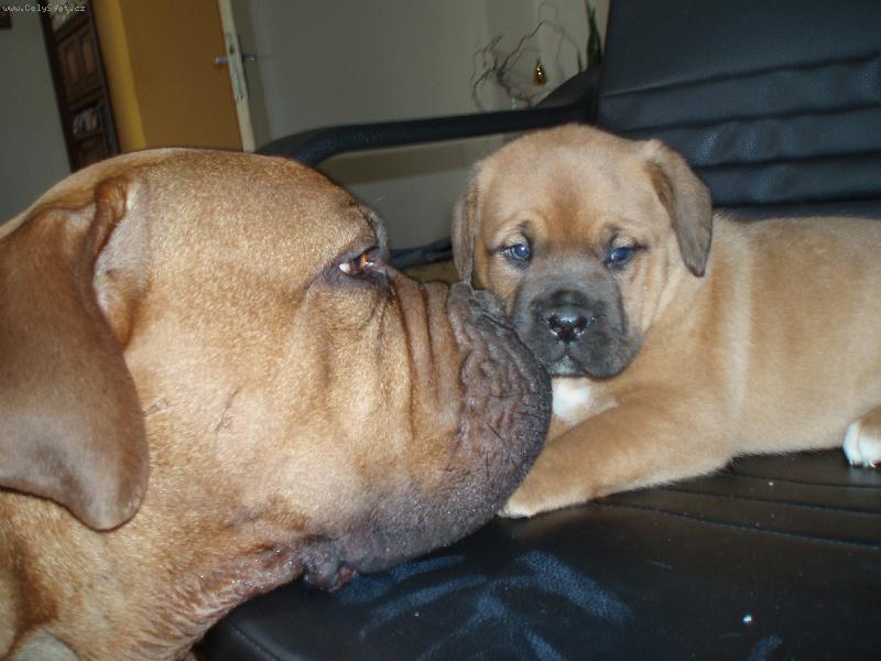 Foto: škoda pusinky, která padne vedle-maminka Bára s nejmilejší dcerou Cleopatrou