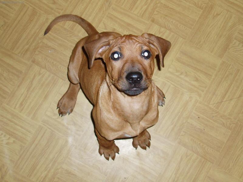 Foto: Bude papání...