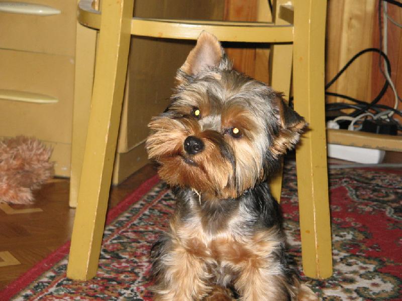 Foto: Tak honem, kdy vyletí ten ptáček...?