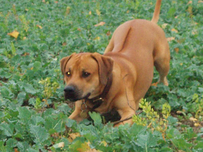 Foto: jen počkej zajíci!