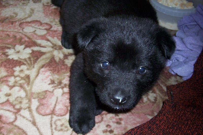 Foto: roztomilá betynka