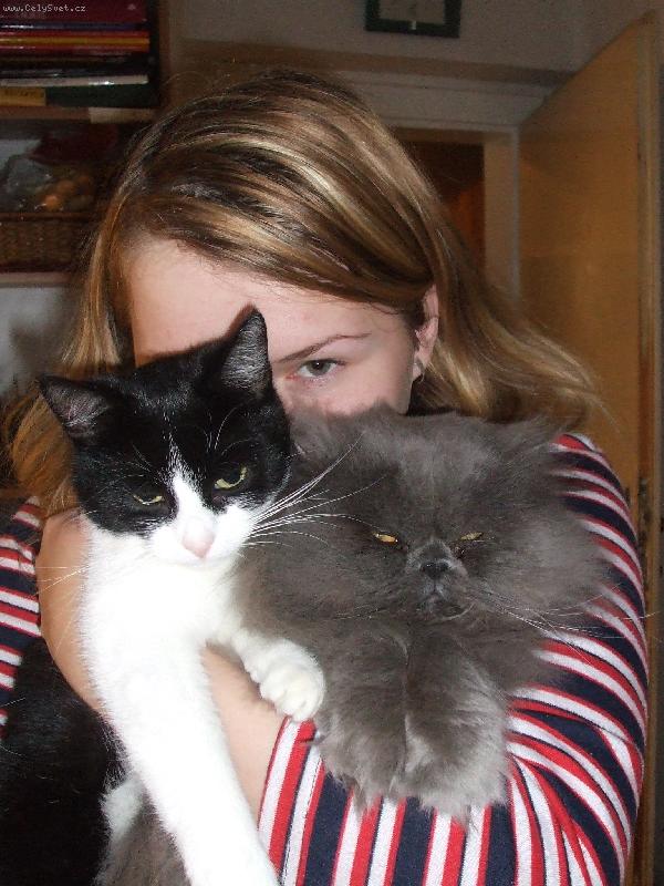 Foto: naše kočky