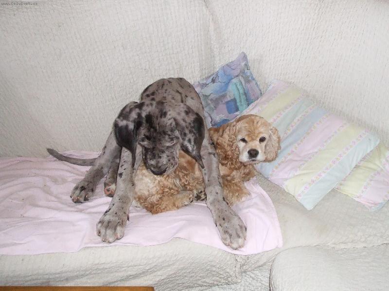 Foto: Attila a Aszia-Vypadni, tady budu já ...