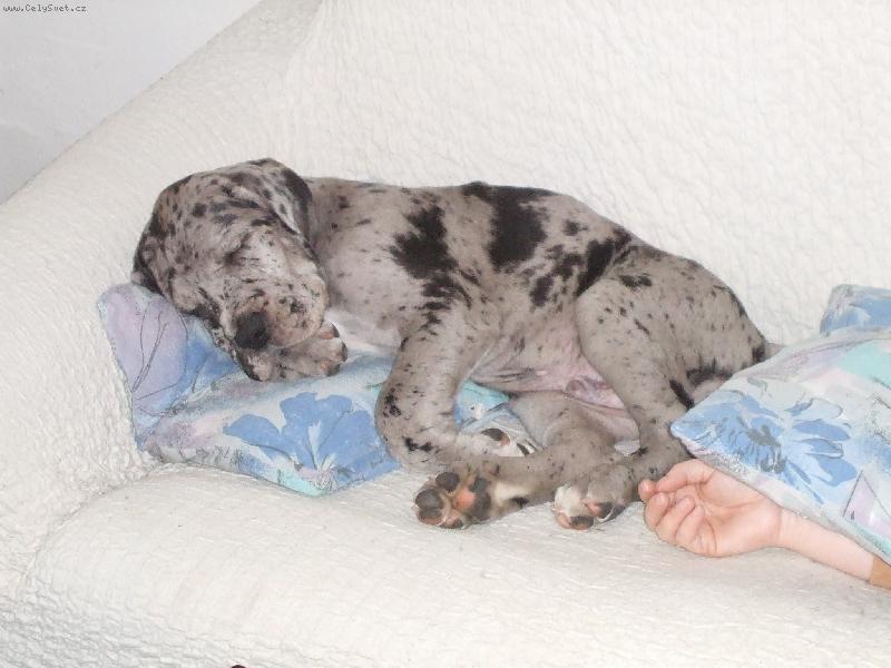 Foto: Attila neboli Tylísek-pt, spinkáme