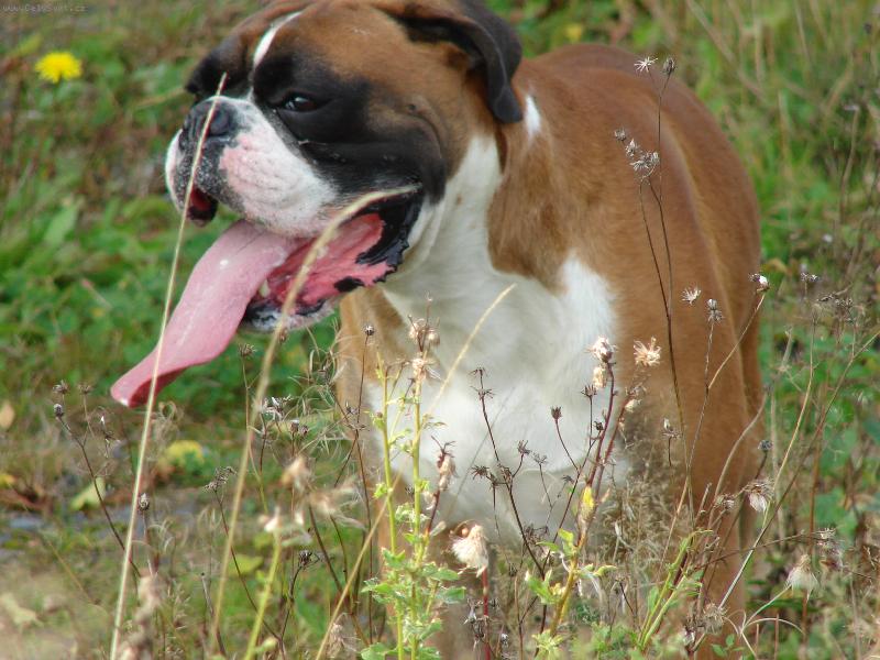 Foto: Toulky přírodou-Kendy na výletě