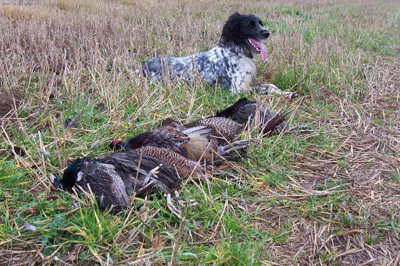 Foto: Hela Od Staré vsi-to jsem zatím přinesla