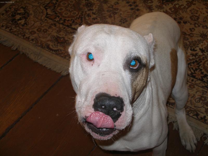 Foto: Nikoušek...-není co dodat