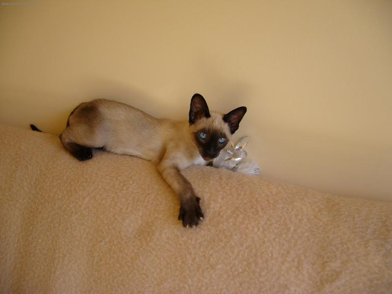 Foto: Alex-krasavec s moudrym pohledem....