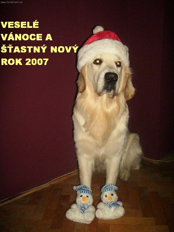 Foto: veselé vánoce