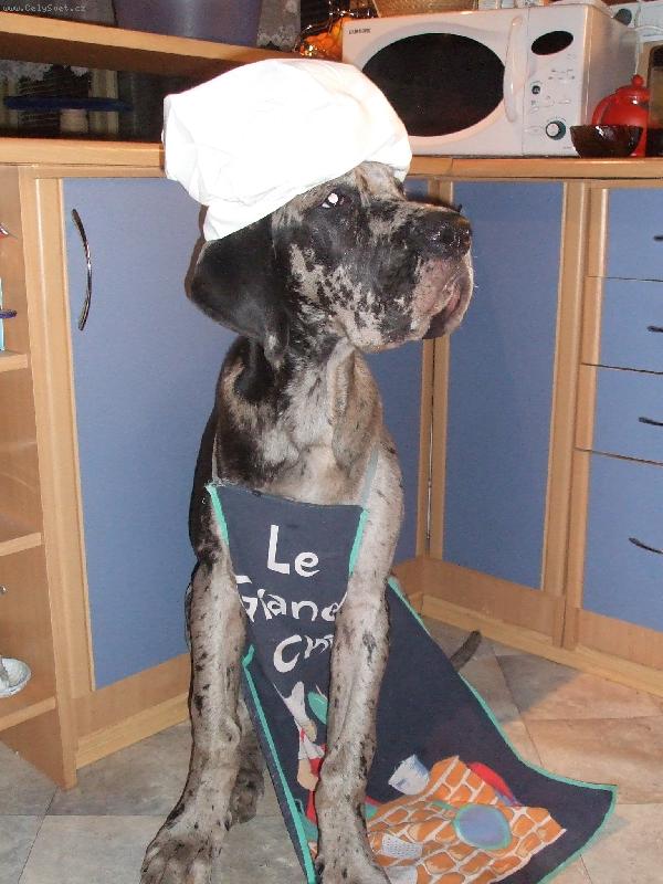 Foto:  Kuchtík Tylda