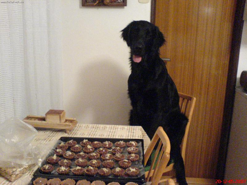 Foto: pečeme na Vánoce