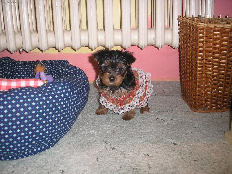 Foto: V�no�n� Nathaly