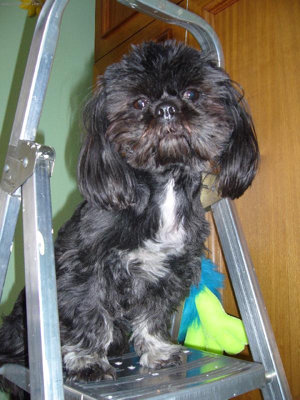 Foto: Lady-Na štaflích...