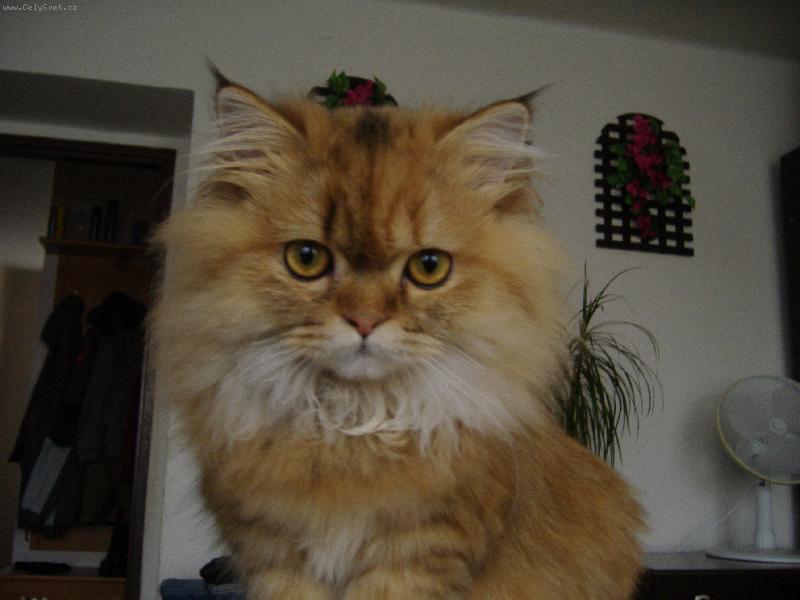 Foto: Nanynka-Naše princezna