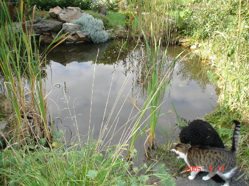 Foto: číhaná-tak kde jsou ty ryby?