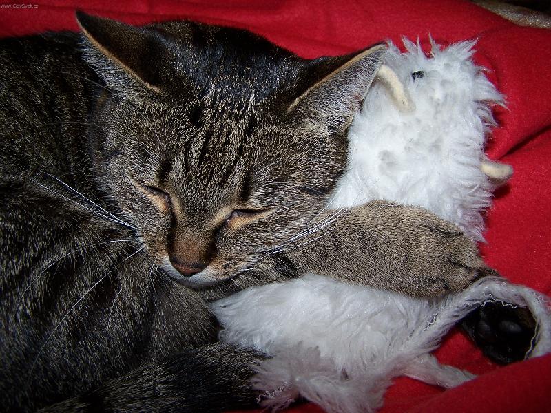 Foto: Merka I.-Miluji tě, Hugo.