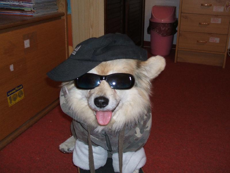 Foto: Beníček skejťáček-Beníček si nechá vše líbit od paničky