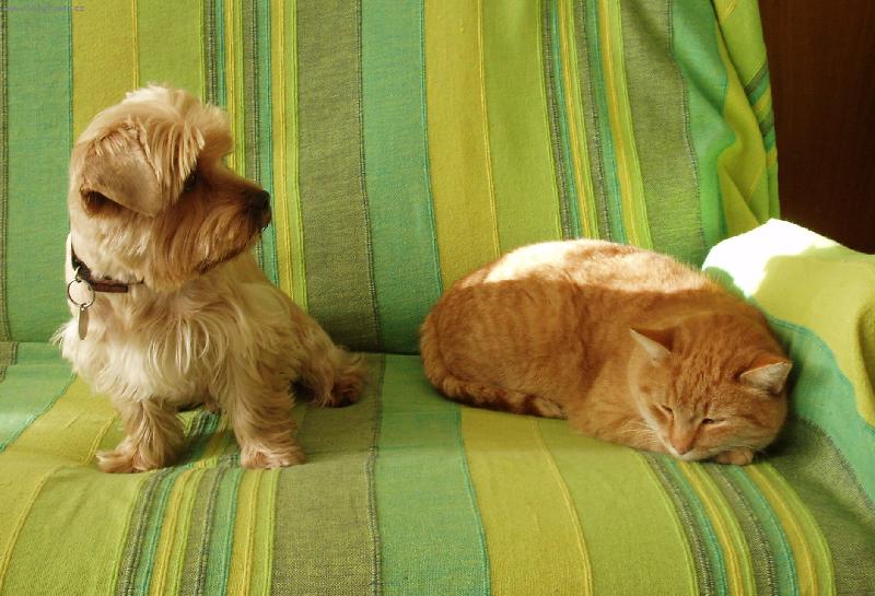 Foto: Jsme oba zrzavý!!