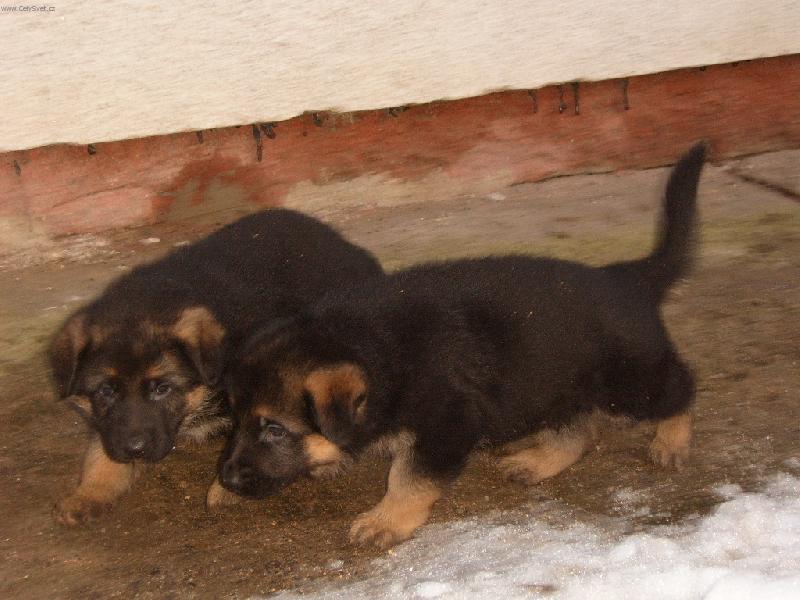 Foto: Stejně budu rychlejší